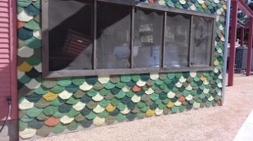 may 18 pic 2 Shingles