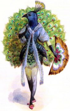 Wednesday Reader May 17 | Peacock Costume