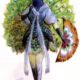 Wednesday Reader May 17 | Peacock Costume