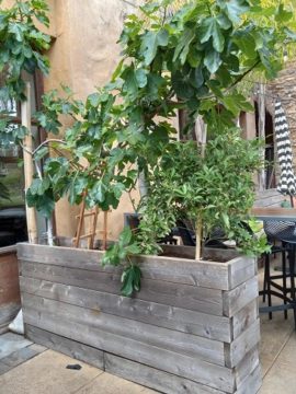 5 For Friday June 9 | Tall Planter Box
