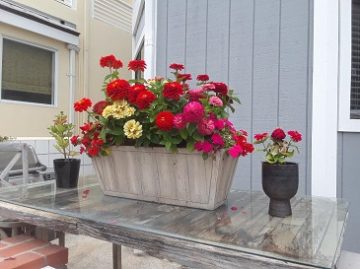 Planter box on a table
