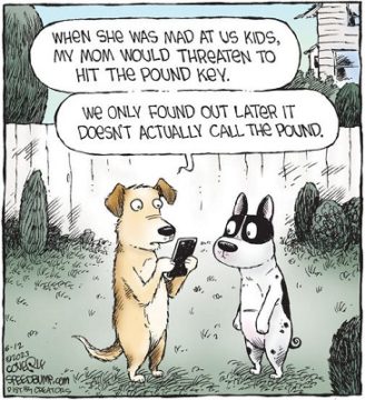 POP Quiz