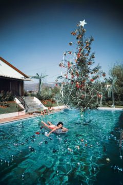 xmaspooltree Wednesday Reader November 29