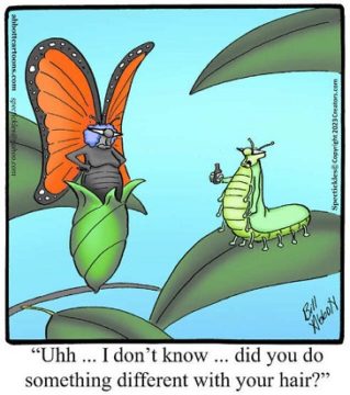 july 12 - cartoon 1 POP Quiz