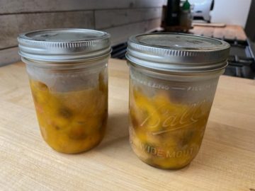 Mango Chutney