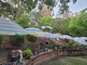 Umbrellas for all