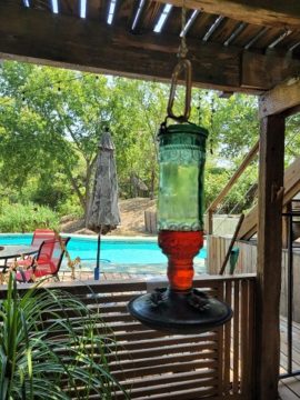 Humming bird feeder
