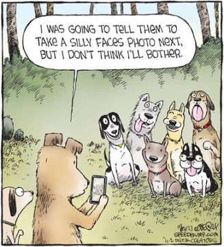 nov 3 comic POP Quiz