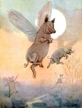 whenpigsflyDD Top of the Morning November 13