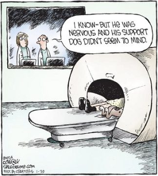 JANUARY 26 - COMIC 3 Wednesday Reader February 7