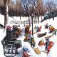 Wednesday Reader January 17
