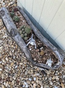 Little Desert