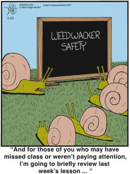Weedwacker Safety