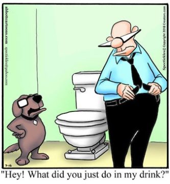 POP Quiz
