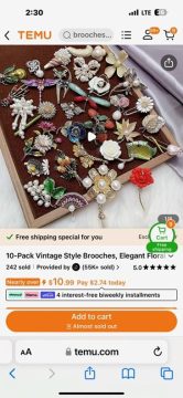 brooches and pins