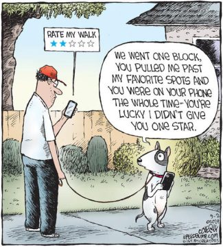 Southern humor