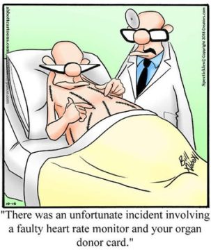 Organ Donor