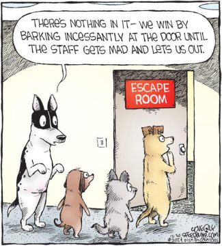 january 10 - cartoon 1 escape room