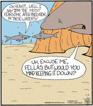 january 10 - cartoon 2 sharks